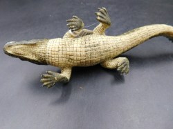 schleich croc view